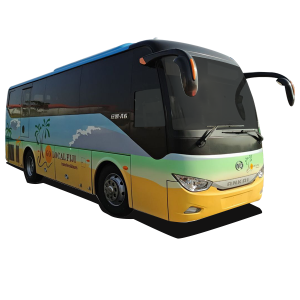 bus bus